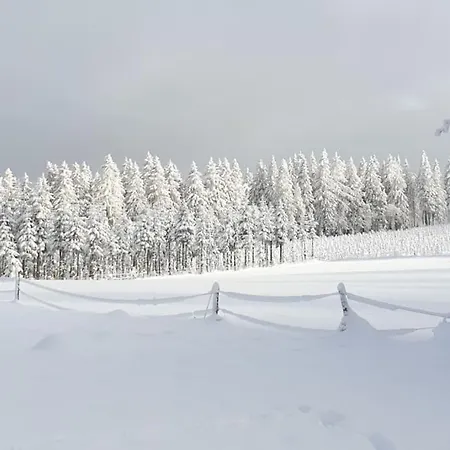 Merle In Winterberg-altastenberg Apartman *