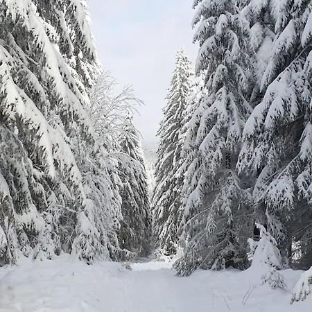 Merle In Winterberg-altastenberg Apartamento