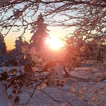 Apartamento Merle In Winterberg-altastenberg Winterberg