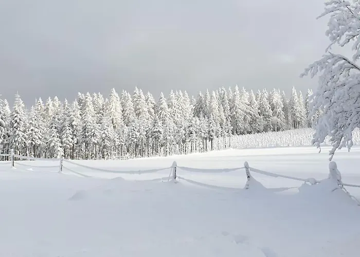 Merle In Winterberg-altastenberg Apartman *