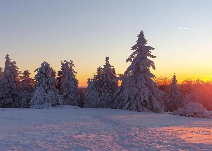 Merle In Winterberg-altastenberg Apartman