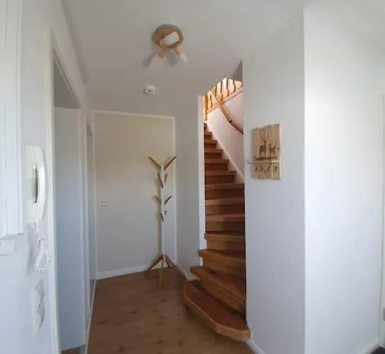 Merle In Winterberg-altastenberg *