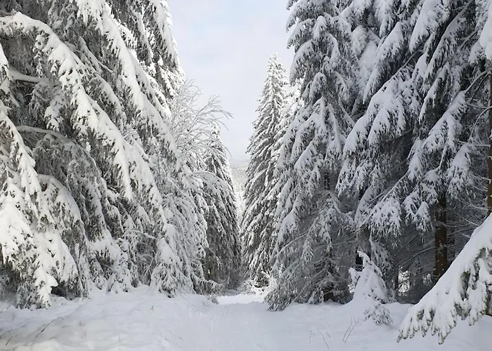 Merle In Winterberg-altastenberg Apartman