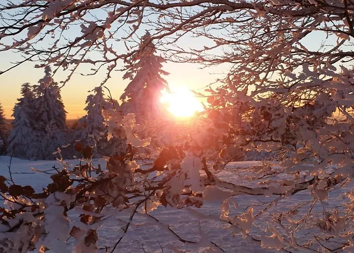 Apartman Merle In Winterberg-altastenberg Winterberg